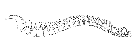 Tecumseh Chiropractic